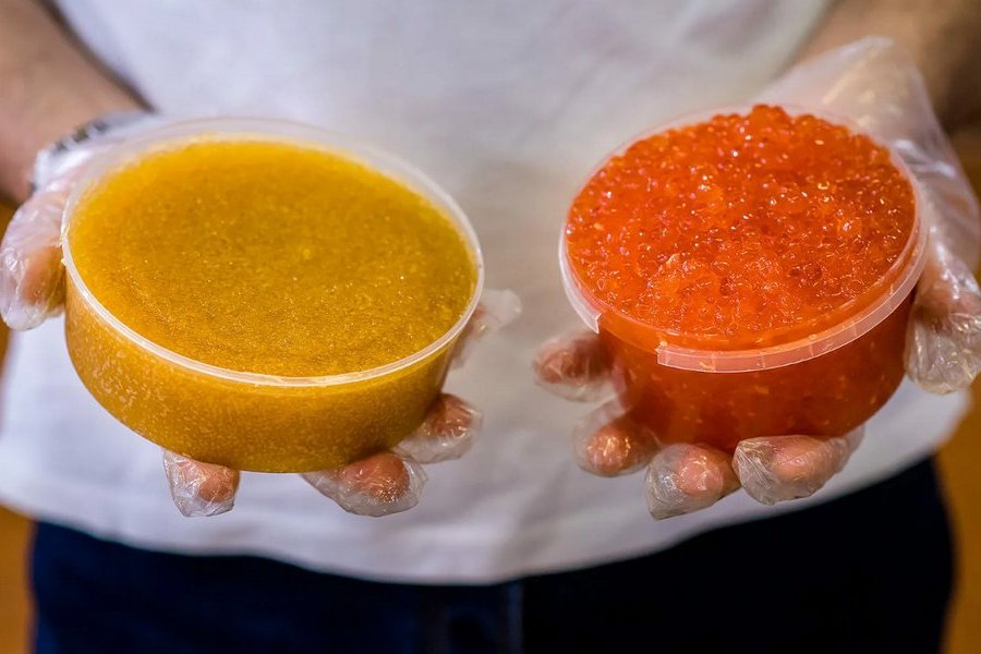 Fish Roe vs. Caviar - The Difference